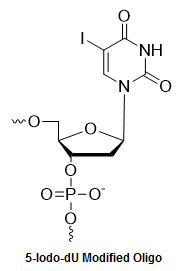 Bio-Synthesis Inc. Oligo Structure